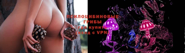эйфоретик Нефтегорск