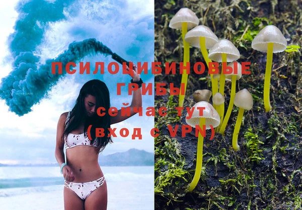эйфоретик Нефтегорск