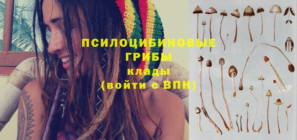 винт Наволоки