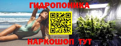 jwh Кинель