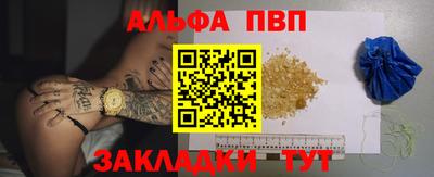 кокс Кингисепп