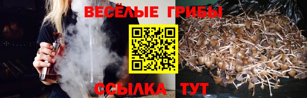 Галлюциногенные грибы Magic Shrooms Сочи